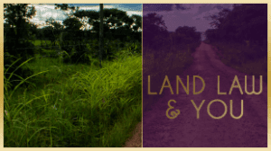 LAND LAW